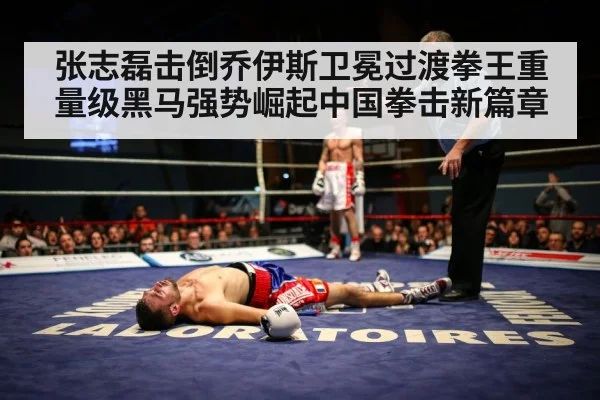 张志磊击倒乔伊斯卫冕过渡拳王重量级黑马强势崛起中国拳击新篇章