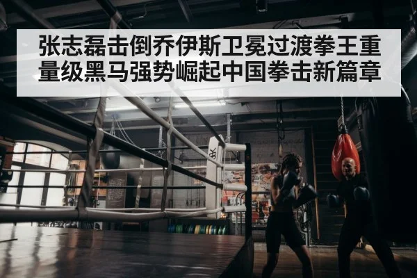 boxer training